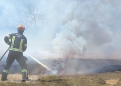 Gasilci v požarih na Krasu z veliko mero požrtvovalnosti: koliko denarja bo za sanacijo namenila država?