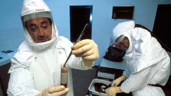 Zaskrbljenost pred širjenjem ebole narašča, bi lahko dosegla Evropo? (foto: Profimedia)