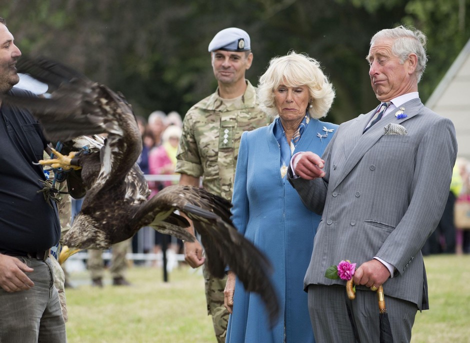 Kralj in krila Charles je bil leta 2015 na obisku v ptičjem zavetišču. Od blizu si je pogledal orla in …