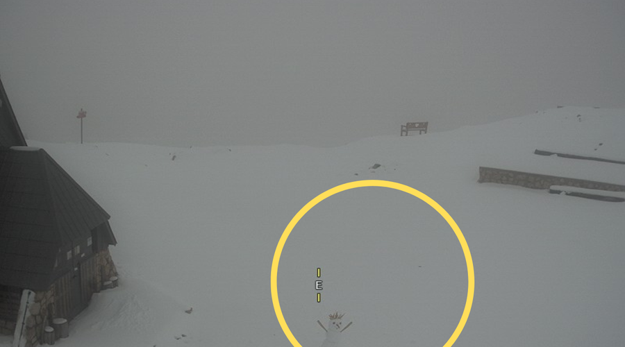 Ga tudi vi vidite? Ob pogledu na spletno kamero z zasnežene Kredarice boste opazili nekaj prikupnega! (foto: Arso)