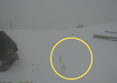 Ga tudi vi vidite? Ob pogledu na spletno kamero z zasnežene Kredarice boste opazili nekaj prikupnega!