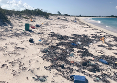 Propadli raj: Bahami niso več kos ogromnemu številu turistov