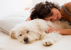Spanje skupaj s psom v isti postelji koristi ali škoduje?