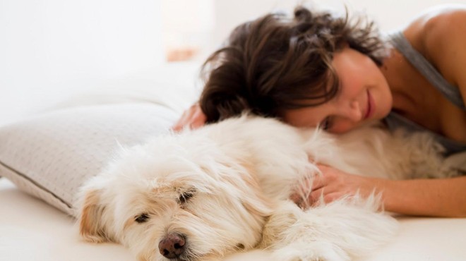 Spanje skupaj s psom v isti postelji koristi ali škoduje?