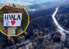 Za obnovo Krasa po požaru dobrodelni Slovenci še vedno zbiramo denar: kdo je namenil največ pomoči?