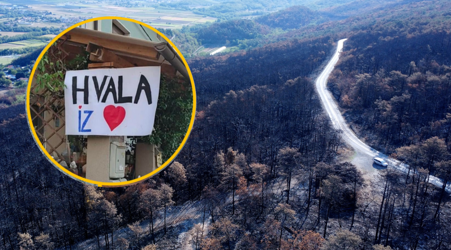Za obnovo Krasa po požaru dobrodelni Slovenci še vedno zbiramo denar: kdo je namenil največ pomoči? (foto: Bobo/Facebook/Gasilci 112/fotomontaža)