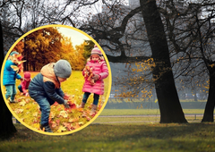 Išče se lastnik predmeta, ki so ga otroci našli v mariborskem parku: ga je odvrgel ali izgubil?