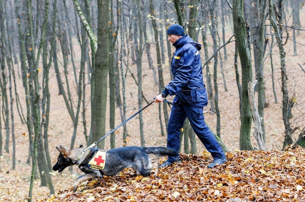 Fotografija je simbolična. (foto: Profimedia)