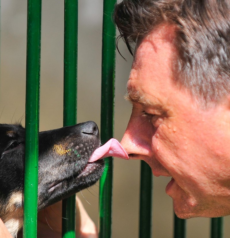 1. avgust 2012: Borut Pahor pomaga pri čiščenju pesjakov in sprehajanju psov v zavetišču za živali.