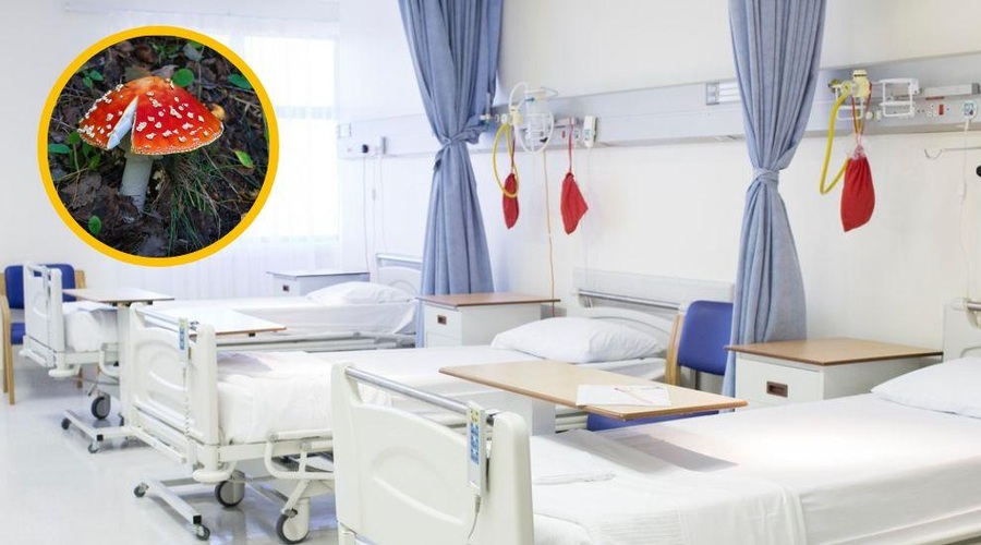 Ženska na tržnici prodajala strupene gobe, več ljudi v kritičnem stanju (foto: Profimedia/fotomontaža)