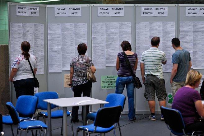 Kako do zaposlitve? EU objavila seznam poklicev, ki so jih delodajalci letos najbolj iskali