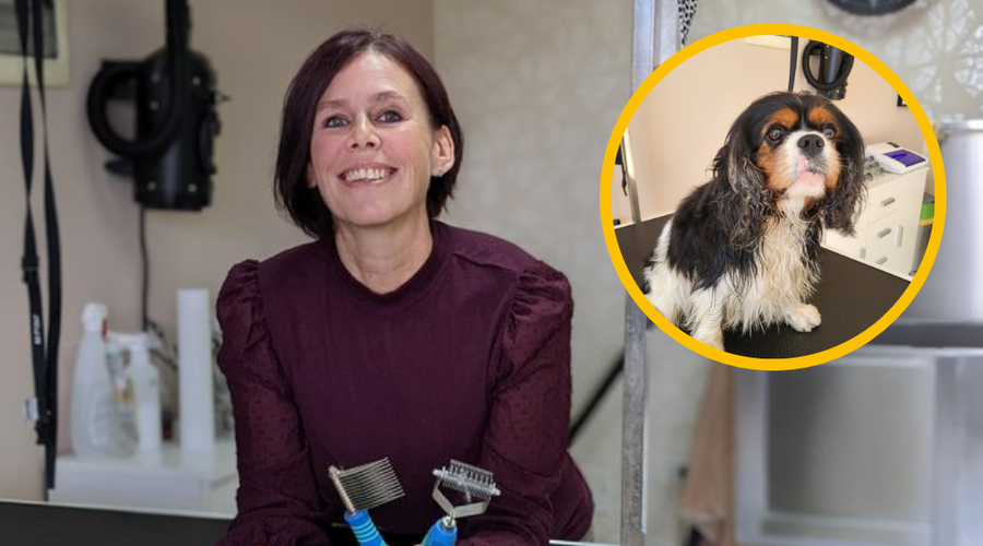 Zaradi velike ljubezni čez noč pustila dobro plačano službo: le kako mu je ime? (foto: Špela Šimenc/Facebook/Pasji salon Grimm/fotomontaža)