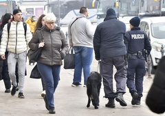 Predrzna tatvina: mladoletnik ženski v le nekaj potezah povzročil za 1000 evrov škode
