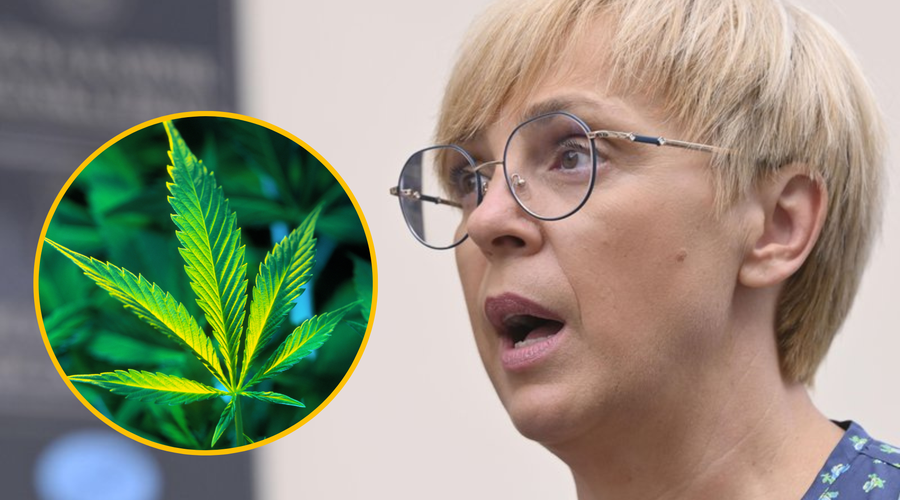 Nataša Pirc Musar o legalizaciji konoplje: "Marihuana ni takšno zlo, kot so govorili v starih časih" (foto: Bobo/Profimedia/fotomontaža)