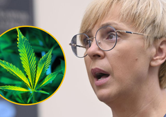 Nataša Pirc Musar o legalizaciji konoplje: "Marihuana ni takšno zlo, kot so govorili v starih časih"