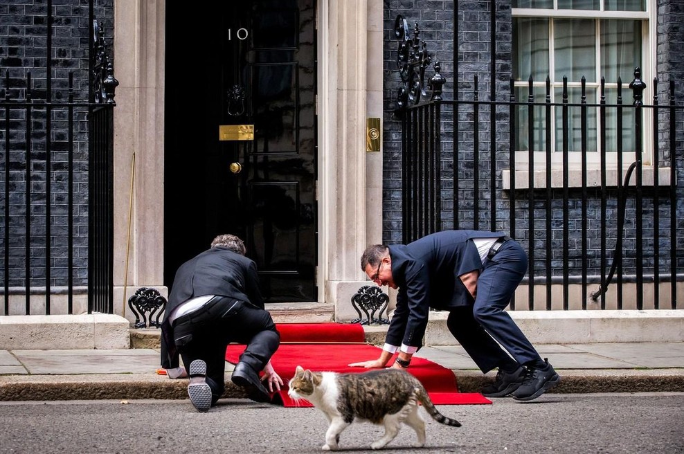 Napetost najvišje stopnje na Downing Streetu: bližnje srečanje Larryja z lisico (foto: profimedia)