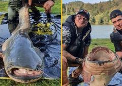 (FOTO) Poglejte tega soma iz Slivniškega jezera: tako velikega še niso ujeli nikoli