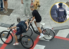 Drzna tatvina: policija išče mladega zmikavta