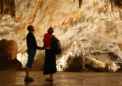 V Postojnski jami veliko presenečenje za obiskovalce: "Očitno je, da bomo podrli še en rekord"