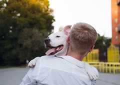 Čustveno slovo od psa, ki je v zavetišču preživel 500 dni (VIDEO)