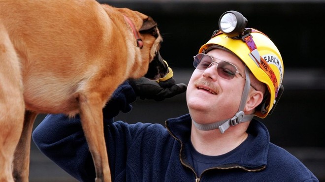 Zavržena psička je danes terapevtka, ki tolaži gasilce v stiski (foto: Profimedia)