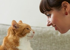 Mačko najbolj razveseli, ko lastnik pri komunikaciji uporablja prav poseben glas