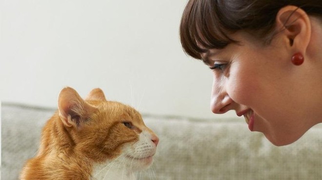 Mačko najbolj razveseli, ko lastnik pri komunikaciji uporablja prav poseben glas (foto: Profimedia)