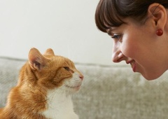 Mačko najbolj razveseli, ko lastnik pri komunikaciji uporablja prav poseben glas