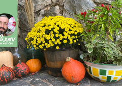 Igrivo, kreativno in okolju prijazno! Reciklirajte stare predmete in jim podarite novo življenje