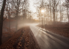 Kakšno vreme nas čaka za podaljšan konec tedna?