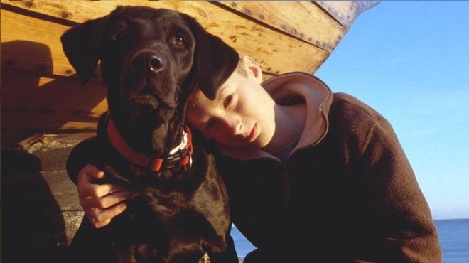 Kako je pes spremljevalec dečku z avtizmom vrnil življenje (foto: Profimedia)