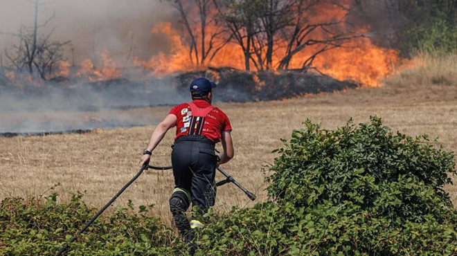 V ognjenih zubljih je letos pogorel velik del Krasa, a škoda ni dovoljšnja, da bi EU pomagala pri obnovi (foto: Profimedia)