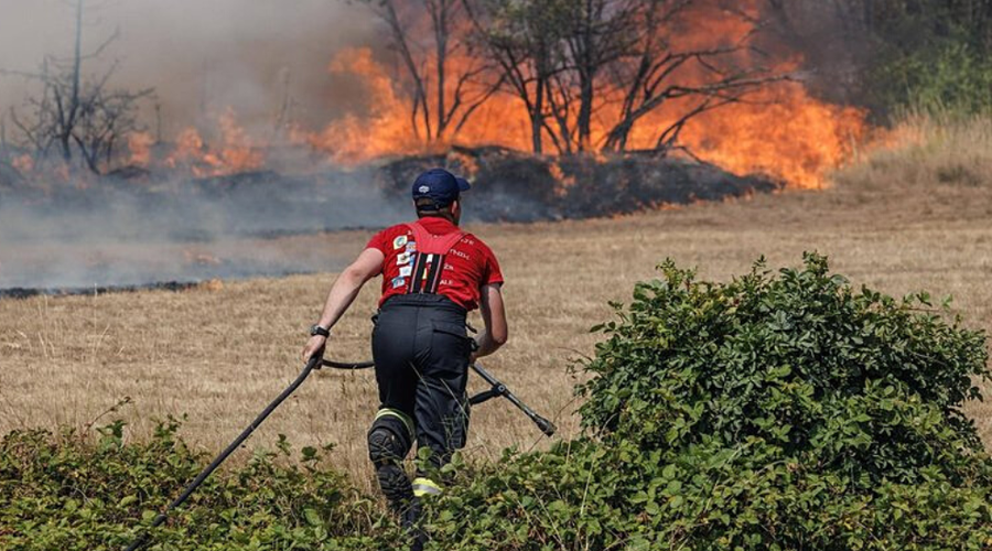 Znano je, ali so bili požari na Krasu podtaknjeni (foto: Profimedia)