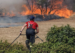 Znano je, ali so bili požari na Krasu podtaknjeni