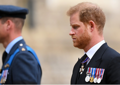 Kraljevi strokovnjak izrazil "daljnosežne in uničujoče" napovedi ob izidu knjige princa Harryja