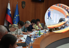 FOTO: Poseg v zasebnost poslanke DZ ujet na varnostni kameri