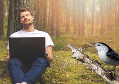 Ptičje petje na zdravniški recept?