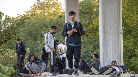 Ujeti na laži? V SDS opozarjajo na 170-odstotno rast posilstev migrantov, podatki policije pa kažejo drugačno zgodbo
