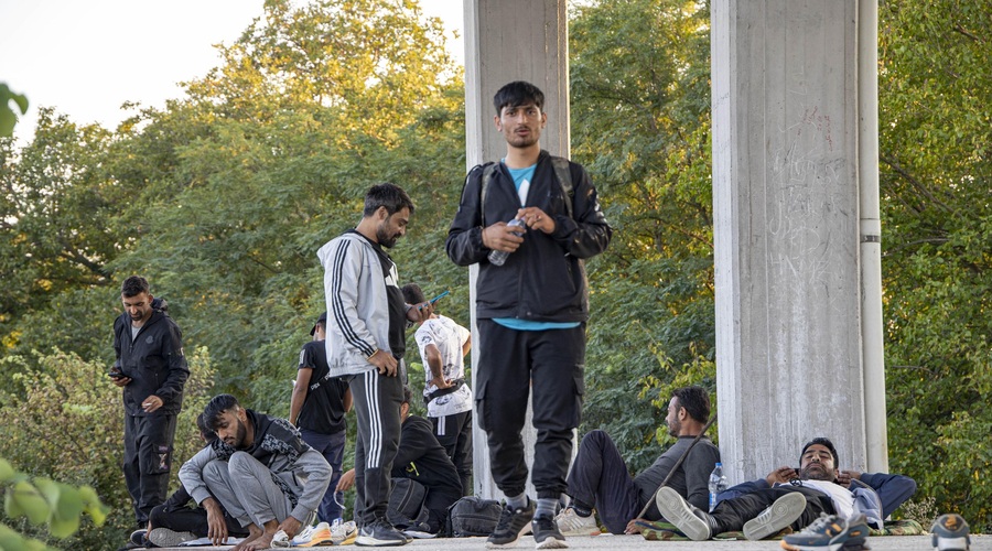 Ujeti na laži? V SDS opozarjajo na 170-odstotno rast posilstev migrantov, podatki policije pa kažejo drugačno zgodbo (foto: Profimedia)