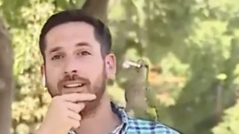 Med poročanjem v živo se je pred kamero pojavil nepovabljen gost: tako se je znašel novinar (VIDEO)