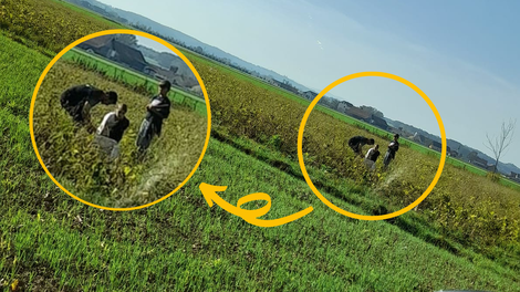 Slovenski kmet jezen na starše, ki svoje otroke učijo "rabutati"