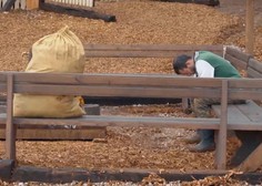 Drama na Kmetiji: en tekmovalec spal s sekiro, jezna tekmovalka nad njega, da ga bo uničila