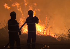Pri Kamniku izbruhnil požar: končalo se je tragično