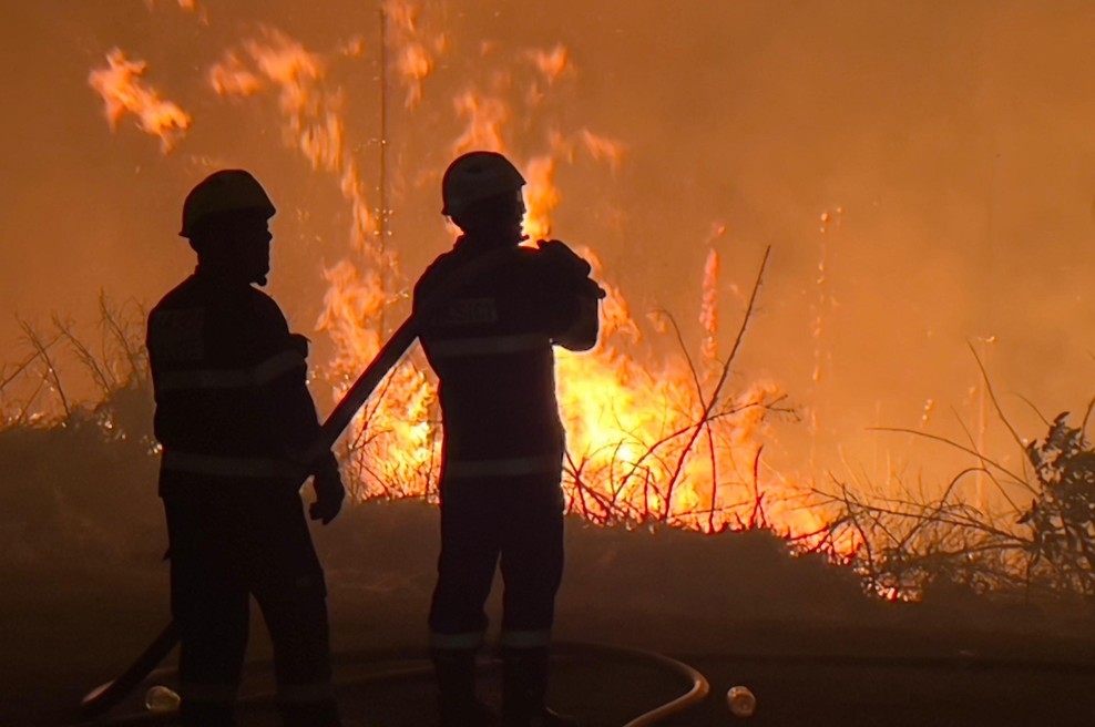 Fotografija je simbolična. (foto: Profimedia)