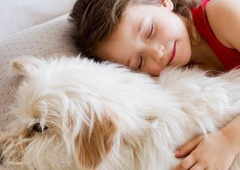 Spanje s psom v isti postelji je v tem obdobju nevarno