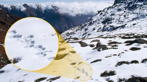 Fotografinja pešačila 165 kilometrov, da je v objektiv ujela 'duhove gora' (fotografije so neverjetne)
