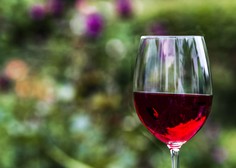 Ali je rdeče vino res dobro za srce?