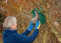 Zdaj je čas, da očistite ptičje gnezdilnice
