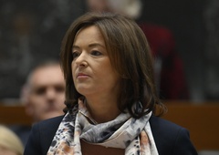 Fajonova presenetila z izjavo: se na mejo s Hrvaško vrača nadzor?