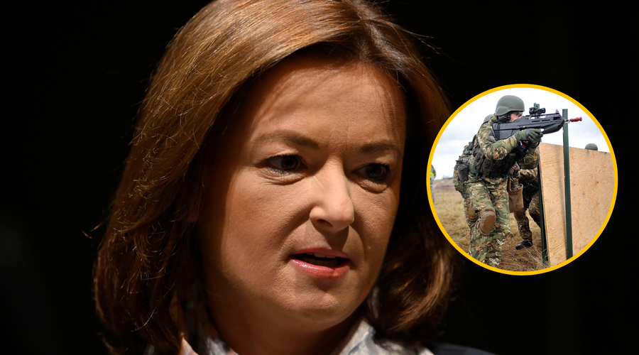Dogovor zunanjih ministrov: bo slovenska vojska kmalu urila ukrajinske vojake? (foto: Žiga Živulović jr./Borut Živulović/Bobo/fotomontaža)